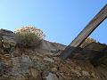 Ile.Rousse.2010 045